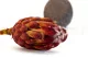 Preserved Protea Grandiceps Red 4