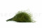 A Bunch of Green Preserved Star That Can be Used as a Filler