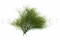 A Bunch of Green Preserved Star That Can be Used as a Filler