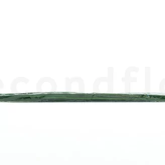 Preserved Long Gynerium
