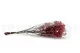 Preserved Baby's Breath Gypsophila Red 11