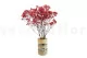 Preserved Baby's Breath Gypsophila Red 6