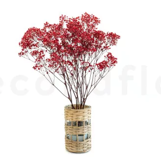 Preserved Baby's Breath Gypsophila Red