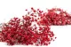 Preserved Baby's Breath Gypsophila Red 4