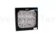 Preserved Wild Rose Gray (set of 12) 11