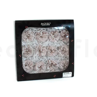 Preserved Wild Rose Gray (set of 12)