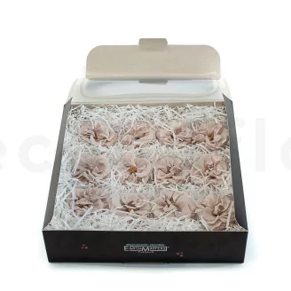 Preserved Wild Rose Gray (set of 12)
