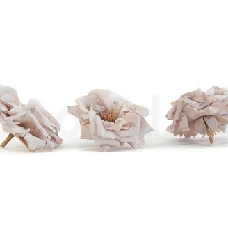 Preserved Wild Rose Gray (set of 12)