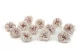 Preserved Wild Rose Gray (set of 12) 3