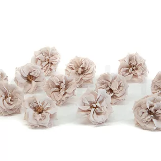 Preserved Wild Rose Gray (set of 12)