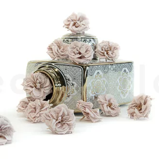 Preserved Wild Rose Gray (set of 12)