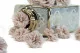 Preserved Wild Rose Gray (set of 12) 10