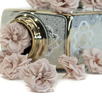 Preserved Wild Rose Gray (set of 12)