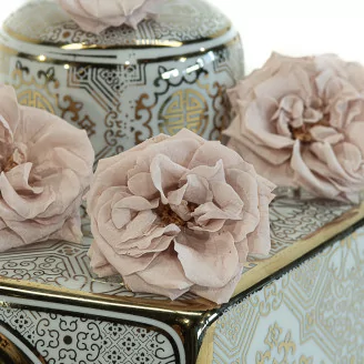 Preserved Wild Rose Gray (set of 12)