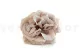 Preserved Wild Rose Gray (set of 12) 8