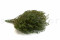 A Bunch of Green Preserved Lepidium With and Without Packaging