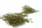 A Bunch of Green Preserved Lepidium With and Without Packaging