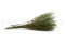 A Bunch of Green Preserved Lepidium With and Without Packaging
