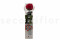 A 30 cm Preserved Red English Rose in a Gift Box in a Box of 25 Units