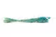 Dried Phalaris Tiffany 8