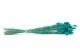 Dried Phalaris Tiffany 3