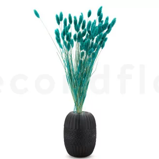 Dried Phalaris Tiffany