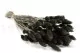 Dried Phalaris Black 5