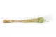 Dried Phalaris Kiwi 8