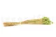 Dried Phalaris Kiwi 3