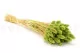 Dried Phalaris Kiwi 5
