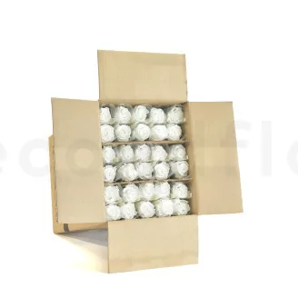 Preserved Rose on Stem 20" White (set of 30)
