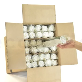 Preserved Rose on Stem 20" White (set of 30)