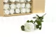 Preserved Rose on Stem 20" White (set of 30) 3