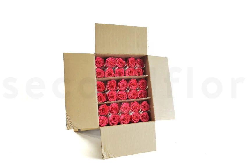 Preserved Rose on Stem 20" Dark Pink (set of 30)