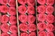 Preserved Rose on Stem 20" Dark Pink (set of 30) 2