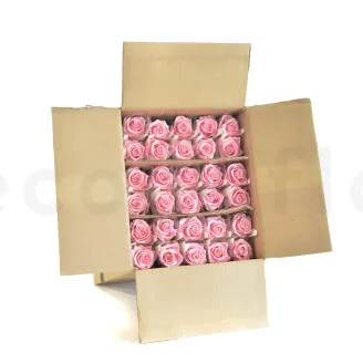 Preserved Rose on Stem 20" Light Pink (set of 30)