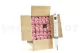 Preserved Rose on Stem 20" Light Pink (set of 30) 6
