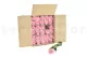 Preserved Rose on Stem 20" Light Pink (set of 30) 8