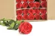 Preserved Rose on Stem 20" Red (set of 30) 5