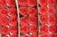 Preserved Rose on Stem 20" Red (set of 30) 3