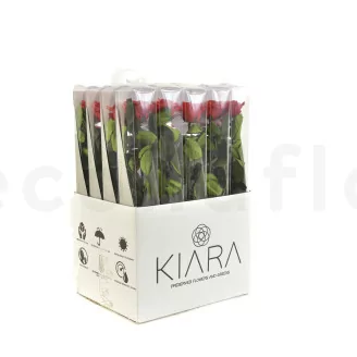 Preserved Rose on Stem 20" Red - Individual Gift Box (set of 20)