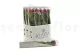 Preserved Rose on Stem 20" Red - Individual Gift Box (set of 20) 1