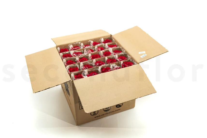 Preserved Rose on stem 12" Red (x25)