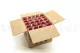 Preserved Rose on stem 12" Red (x25) 12