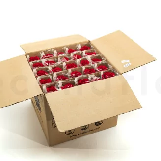 Preserved Rose on stem 12" Red (x25)