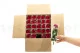 Preserved Rose on stem 12" Red (x25) 1