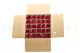 Preserved Rose on stem 12" Red (x25) 13