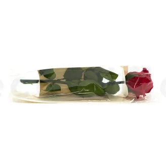 Preserved Rose on stem 12" Red (x25)