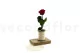 Preserved Rose on stem 12" Red (x25) 10