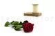 Preserved Rose on stem 12" Red (x25) 9